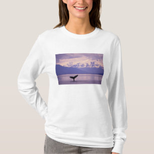 Camiseta Norteamérica, EE. UU., Alaska, Paso Interior.