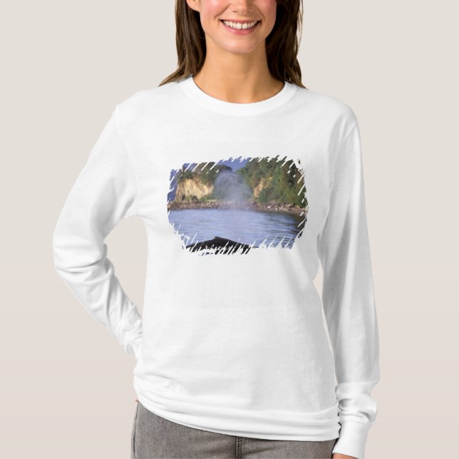 Camiseta Norteamérica, EE. UU., Alaska, Paso Interior. (Anverso)