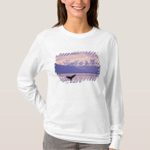 Camiseta Norteamérica, EE. UU., Alaska, Paso Interior.
