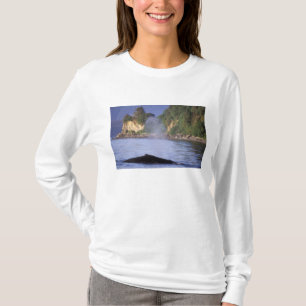 Camiseta Norteamérica, EE. UU., Alaska, Paso Interior.