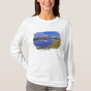 Camiseta Norteamérica, EE. UU., Alaska, PN Denali,