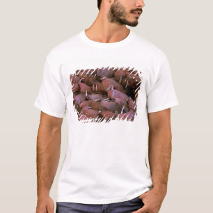 Camiseta Norteamérica, EE. UU., Alaska, Yukon Delta Naciona