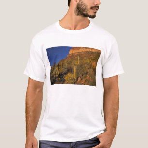 Camiseta Norteamérica, EE. UU., Arizona, Cactus de tubo de