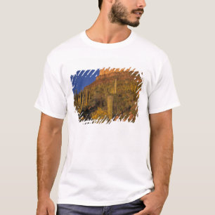 Camiseta Norteamérica, EE. UU., Arizona, Cactus de tubo de
