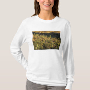 Camiseta Norteamérica, EE. UU., Arizona, Desierto de Sonora