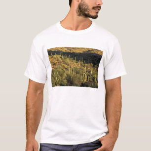Camiseta Norteamérica, EE. UU., Arizona, Desierto de Sonora