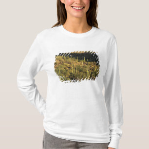 Camiseta Norteamérica, EE. UU., Arizona, Desierto de Sonora
