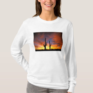 Camiseta Norteamérica, EE. UU., Arizona, Desierto de Sonora