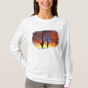 Camiseta Norteamérica, EE. UU., Arizona, Desierto de Sonora