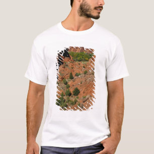 Camiseta Norteamérica, EE. UU., Arizona, indio navajo