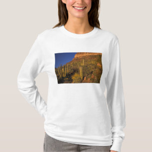 Camiseta Norteamérica, EE. UU., Arizona, Organ Pipe Cactus 