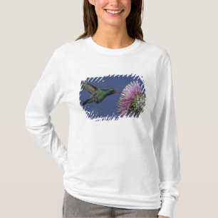 Camiseta Norteamérica, EE. UU., Arizona. Pico ancho