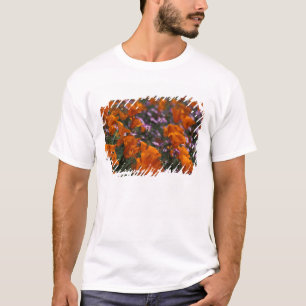 Camiseta Norteamérica, EE. UU., California, Antelope Valley
