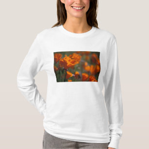 Camiseta Norteamérica, EE. UU., California, Antelope Valley