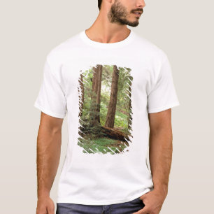 Camiseta Norteamérica, EE. UU., California, Big Sur,