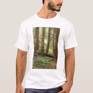 Camiseta Norteamérica, EE. UU., California, Big Sur,