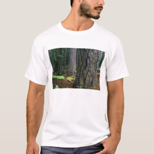 Camiseta Norteamérica, EE. UU., California, Yosemite