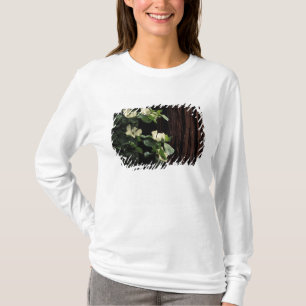 Camiseta Norteamérica, EE. UU., California, Yosemite 2