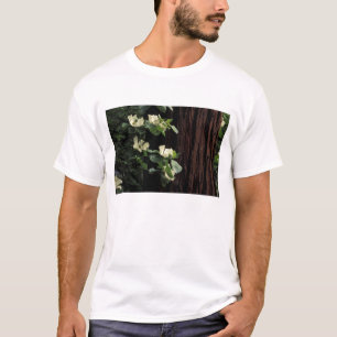 Camiseta Norteamérica, EE. UU., California, Yosemite 2