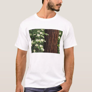 Camiseta Norteamérica, EE. UU., California, Yosemite 3