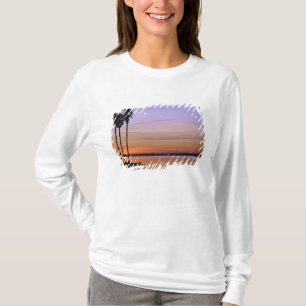 Camiseta Norteamérica, EE. UU., Florida, Mt. Dora, un trío
