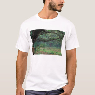 Camiseta Norteamérica, EE. UU., Georgia, Cumberland