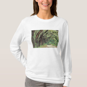 Camiseta Norteamérica, EE. UU., Georgia, Cumberland 2