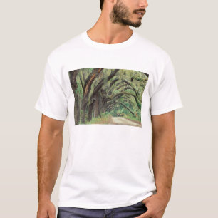 Camiseta Norteamérica, EE. UU., Georgia, Cumberland 2
