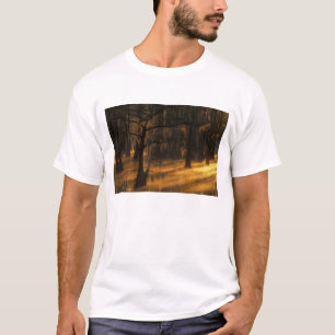 Camiseta Norteamérica, EE. UU., Georgia, George Smith