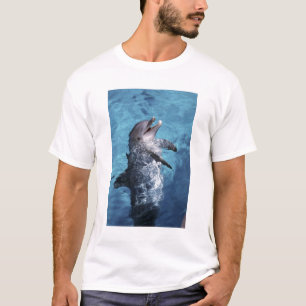 Camiseta Norteamérica, EE. UU., Hawái. Delfín