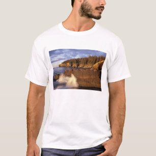 Camiseta Norteamérica, EE. UU., ME, La costa rocosa de Main