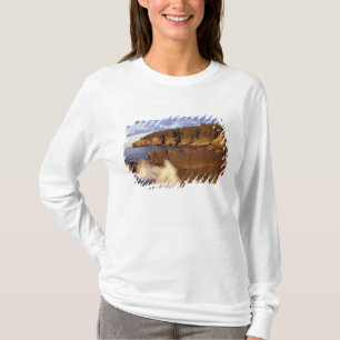 Camiseta Norteamérica, EE. UU., ME, La costa rocosa de Main