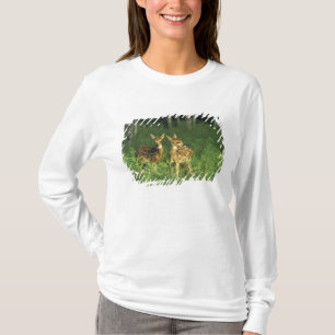 Camiseta Norteamérica, EE. UU., Minnesota. Cola blanca 2