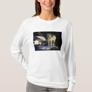 Camiseta Norteamérica, EE. UU., Minnesota. Lobo (Canis