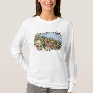 Camiseta Norteamérica, EE. UU., NH, Otoño en Nueva Inglater
