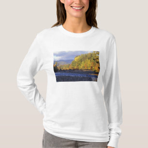 Camiseta Norteamérica, EE. UU., NH, río Saco. Guijarro