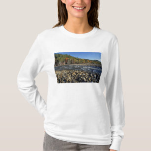 Camiseta Norteamérica, EE. UU., NH, una playa de guijarros
