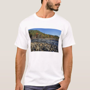 Camiseta Norteamérica, EE. UU., NH, una playa de guijarros 