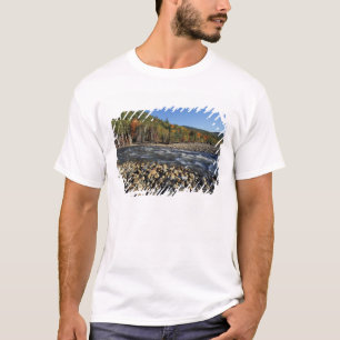Camiseta Norteamérica, EE. UU., NH, una playa de guijarros