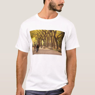 Camiseta Norteamérica, EE. UU., Nueva York, Ciudad de Nueva