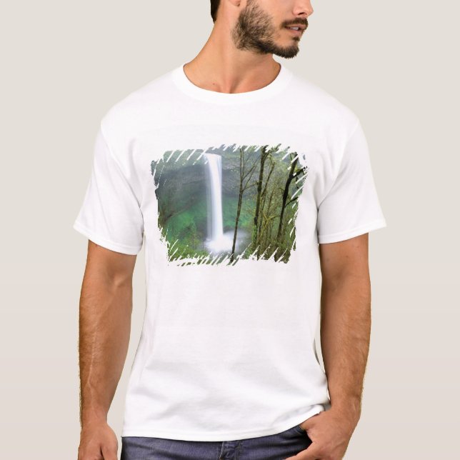 Camiseta Norteamérica, EE. UU., Oregón, Silver Falls State (Anverso)