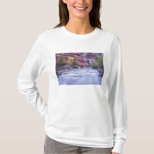 Camiseta Norteamérica, EE. UU., Utah, Parque Nacional Zion.