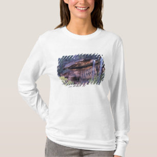 Camiseta Norteamérica, EE. UU., Utah, Parque Nacional Zion.