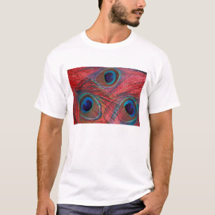 Camiseta Norteamérica, EE. UU., WA, Redmond, pavo real
