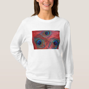 Camiseta Norteamérica, EE. UU., WA, Redmond, pavo real
