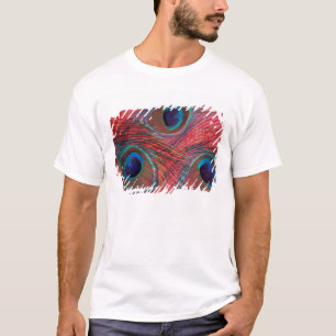 Camiseta Norteamérica, EE. UU., WA, Redmond, pavo real