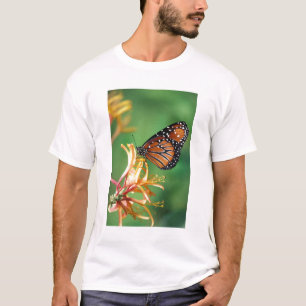 Camiseta Norteamérica, EE. UU., WA, Seattle, Parque Woodlan