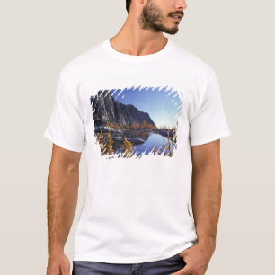 Camiseta Norteamérica, EE. UU., Washington, Encantamiento