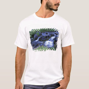 Camiseta Norteamérica, EE. UU., Washington, Monte Rainier 3