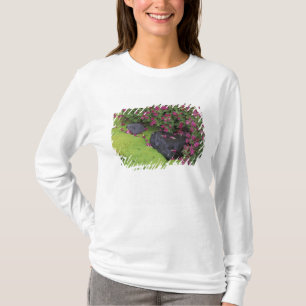 Camiseta Norteamérica, EE. UU., Washington, Mt. Rainier
